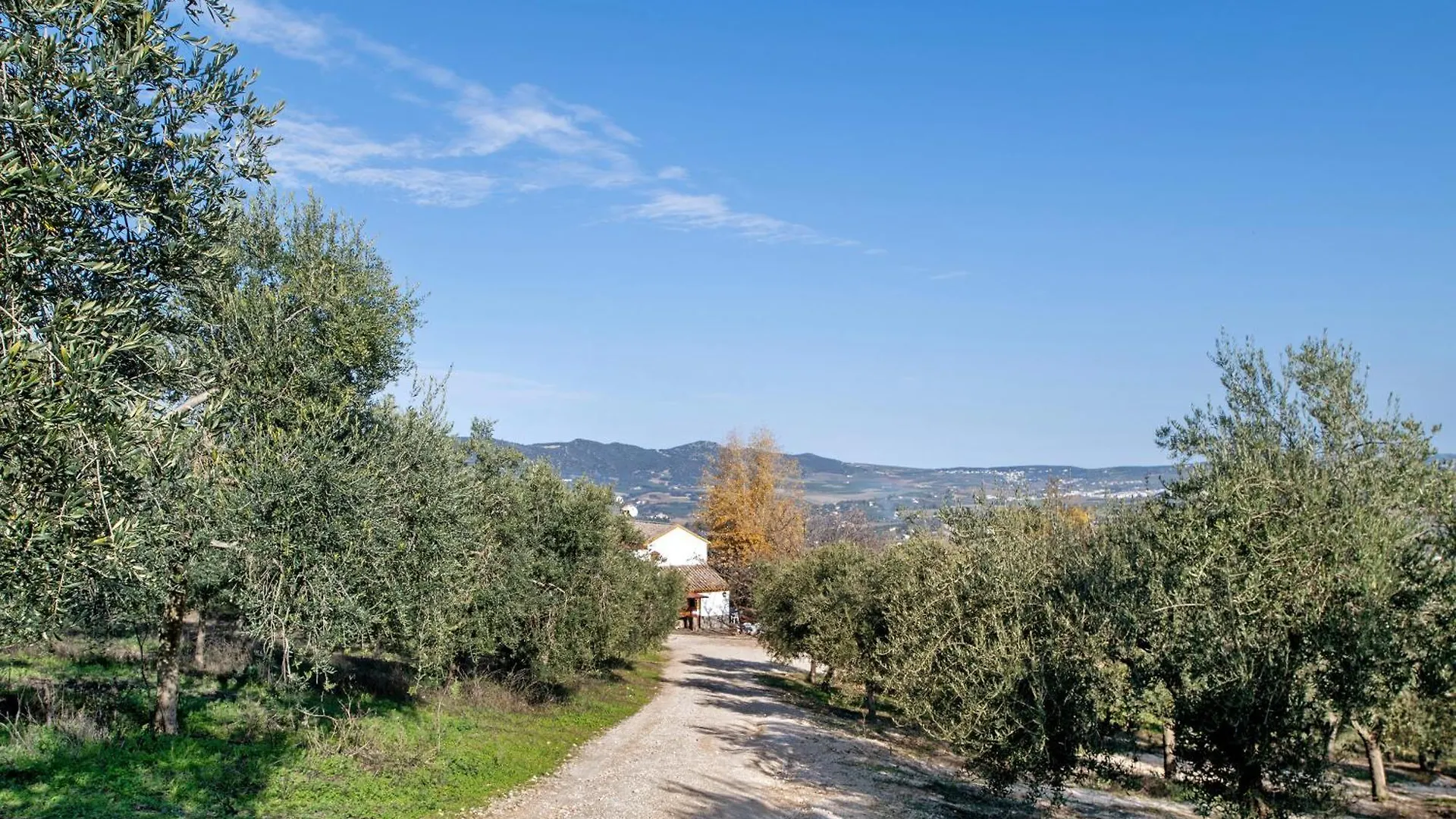 Holiday home Casa Rural Fuente Dulce Ronda
