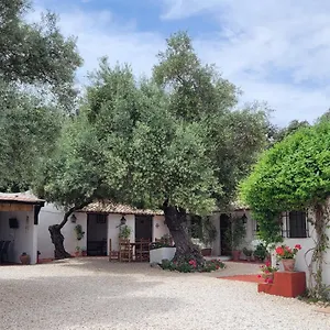 Сasa de vacaciones Casa Abanto